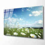 Papatya Çiçekler ve Gökyüzü Cam Tablo