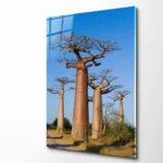Madagaskar Baobab Yolu Cam Tablo