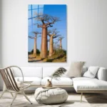 Madagaskar Baobab Yolu Cam Tablo - Görsel 3