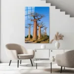 Madagaskar Baobab Yolu Cam Tablo - Görsel 4