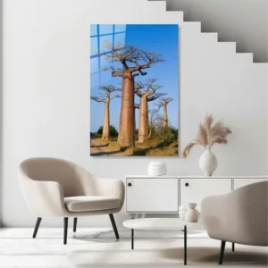 CT0793 tasarim cam 5